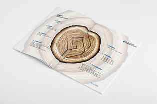 多维展现企业实力 从房地产到技术开发的全方位画册设计